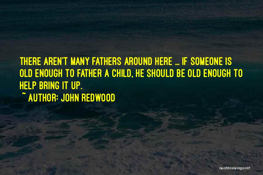 John Redwood Quotes 1215886