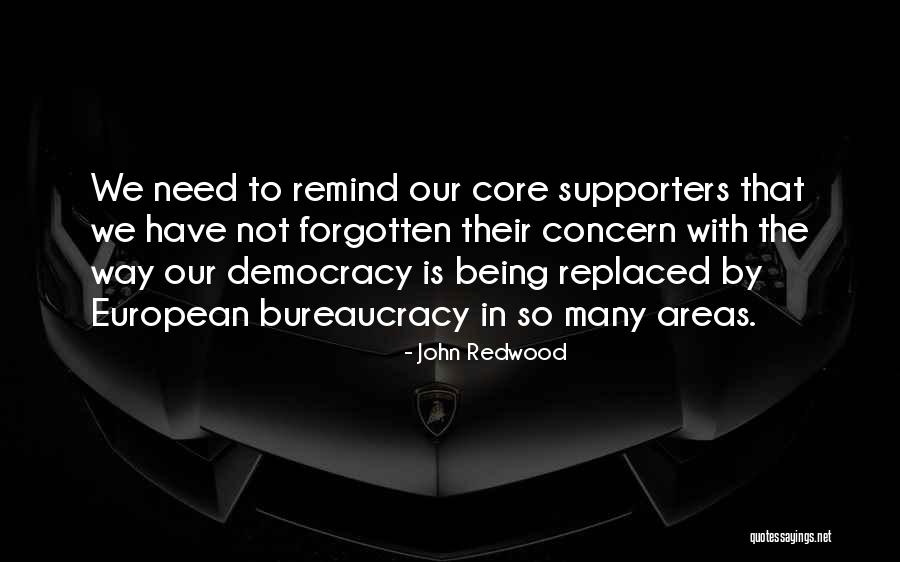John Redwood Quotes 130029 John Redwood Quotes 130029