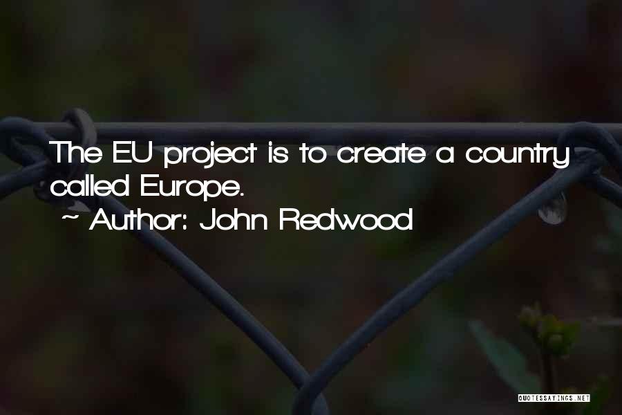 John Redwood Quotes 2209763