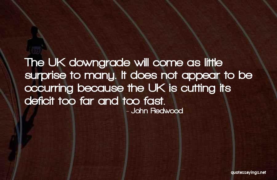 John Redwood Quotes 496059