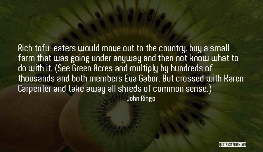 John Ringo Quotes 1444332