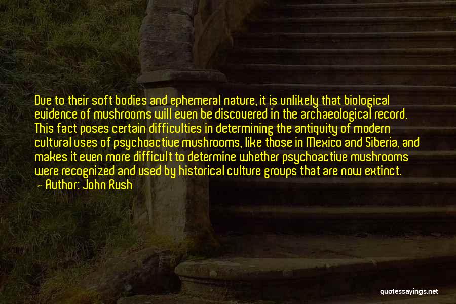 John Rush Quotes 2243728
