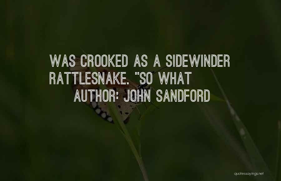 John Sandford Quotes 2155257