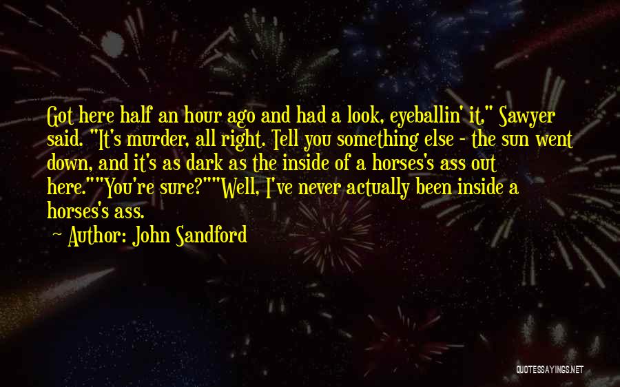 John Sandford Quotes 606876