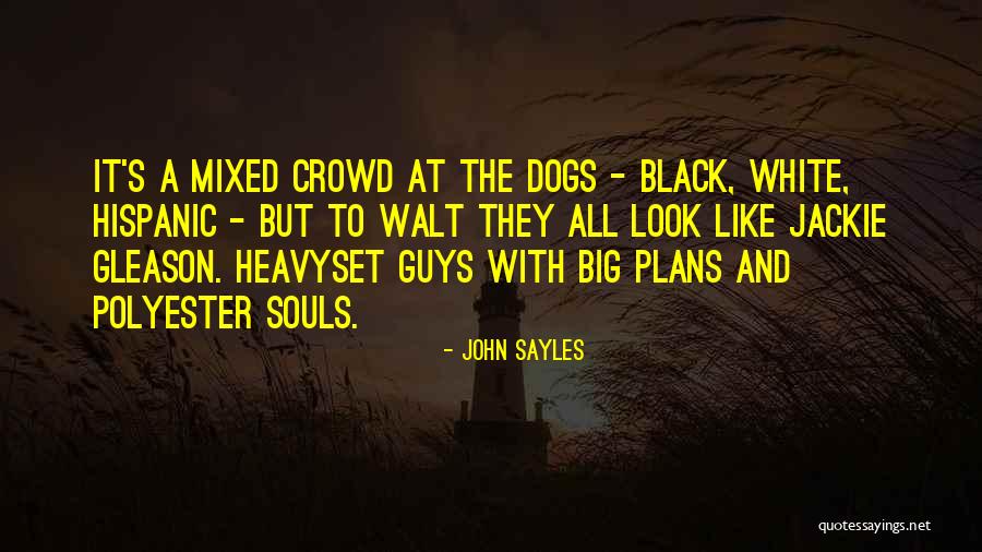 John Sayles Quotes 1394515