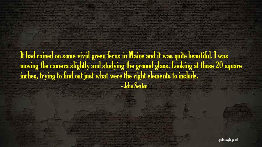 John Sexton Quotes 1761731