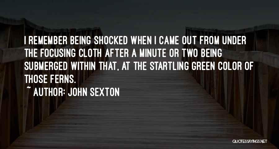 John Sexton Quotes 544330