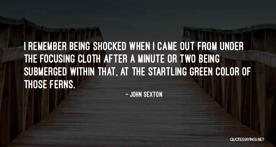 John Sexton Quotes 544330