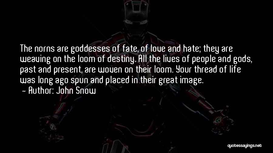 John Snow Quotes 1738698