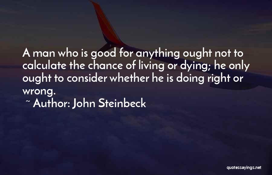 John Steinbeck Quotes 2054977
