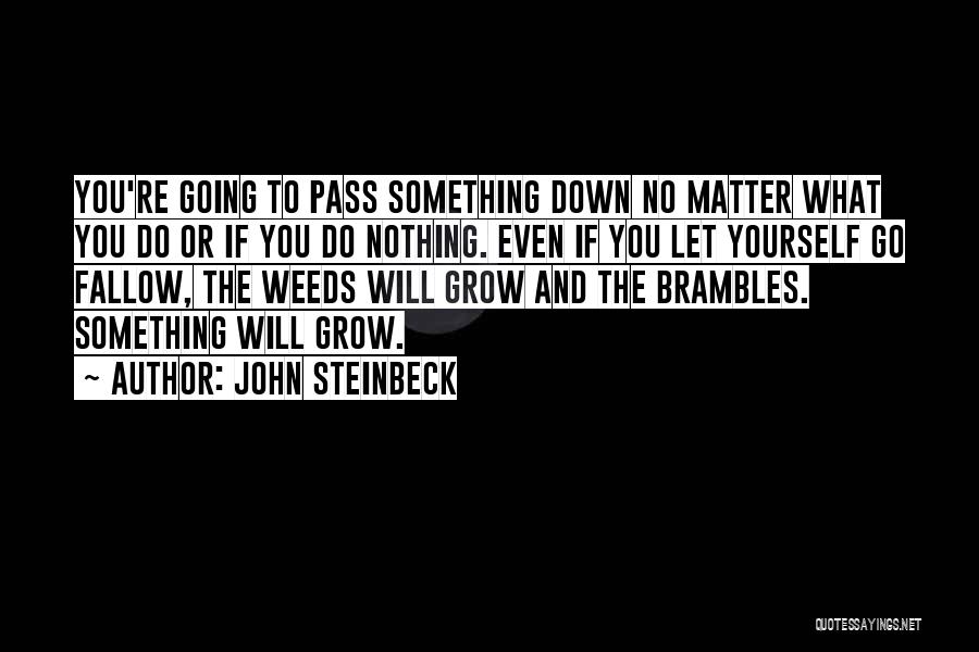 John Steinbeck Quotes 2086729