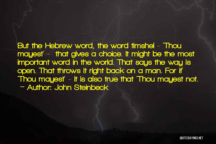 John Steinbeck Quotes 683046