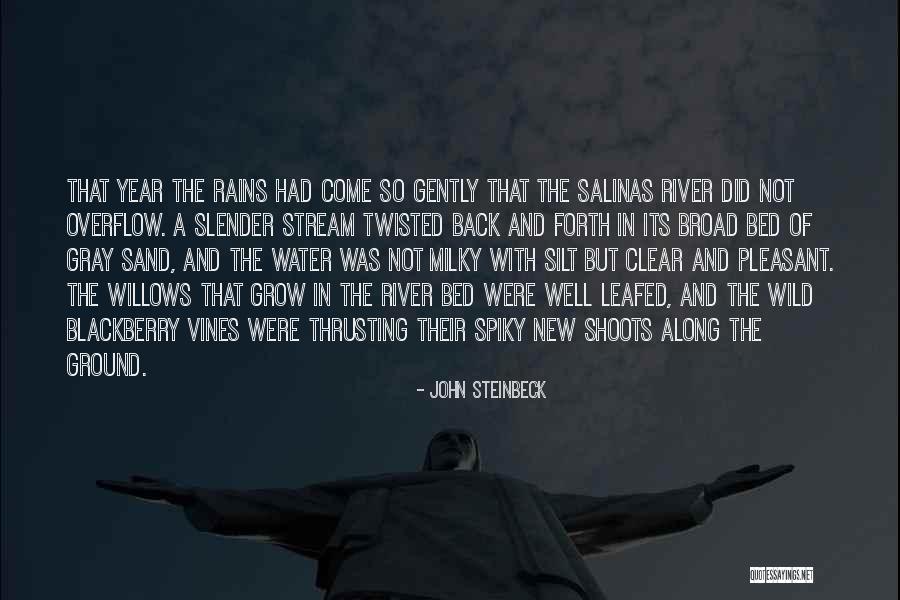 John Steinbeck Salinas Quotes By John Steinbeck