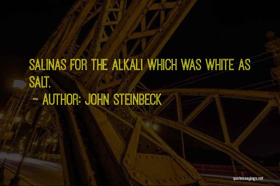 John Steinbeck Salinas Quotes By John Steinbeck