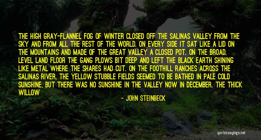 John Steinbeck Salinas Quotes By John Steinbeck