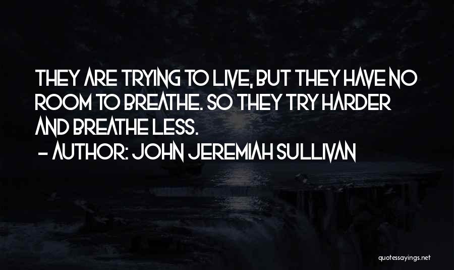 John Sullivan Quotes By John Jeremiah Sullivan