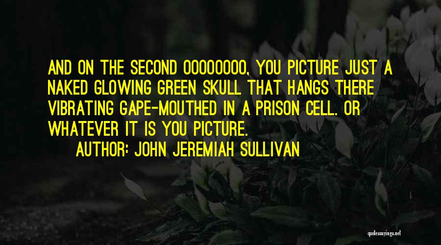 John Sullivan Quotes By John Jeremiah Sullivan