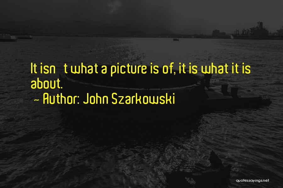 John Szarkowski Quotes 812737