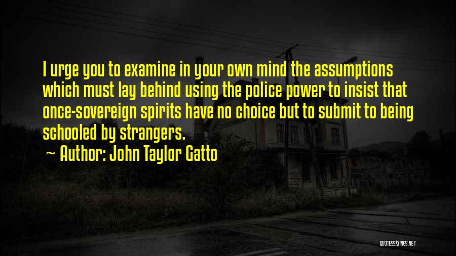 John Taylor Gatto Quotes 429411