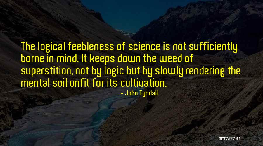 John Tyndall Quotes 1575365