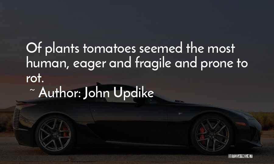 John Updike Quotes 1424535