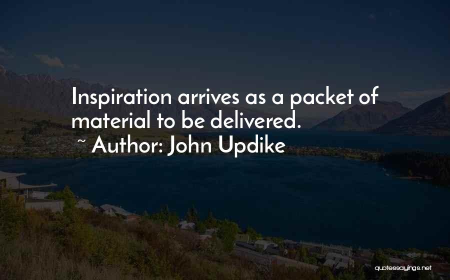 John Updike Quotes 1488489