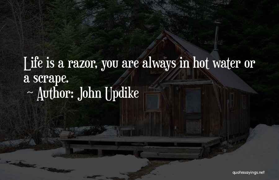 John Updike Quotes 2195045