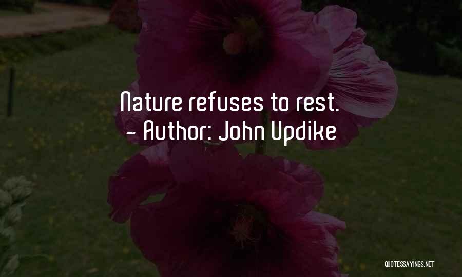 John Updike Quotes 270677