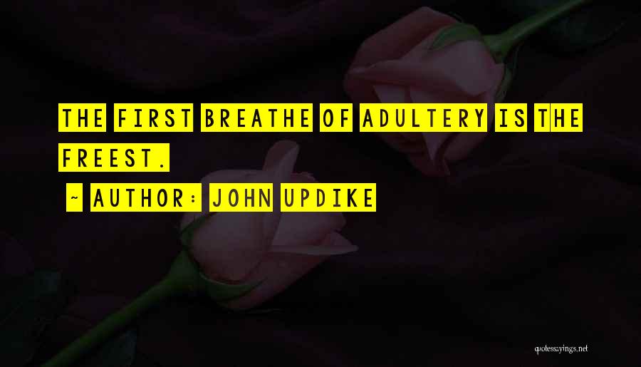 John Updike Quotes 480408