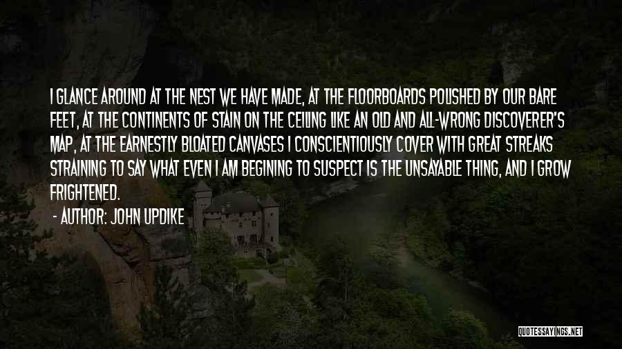 John Updike Quotes 681029