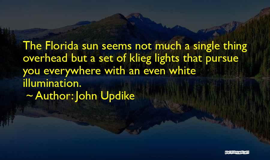 John Updike Quotes 87322