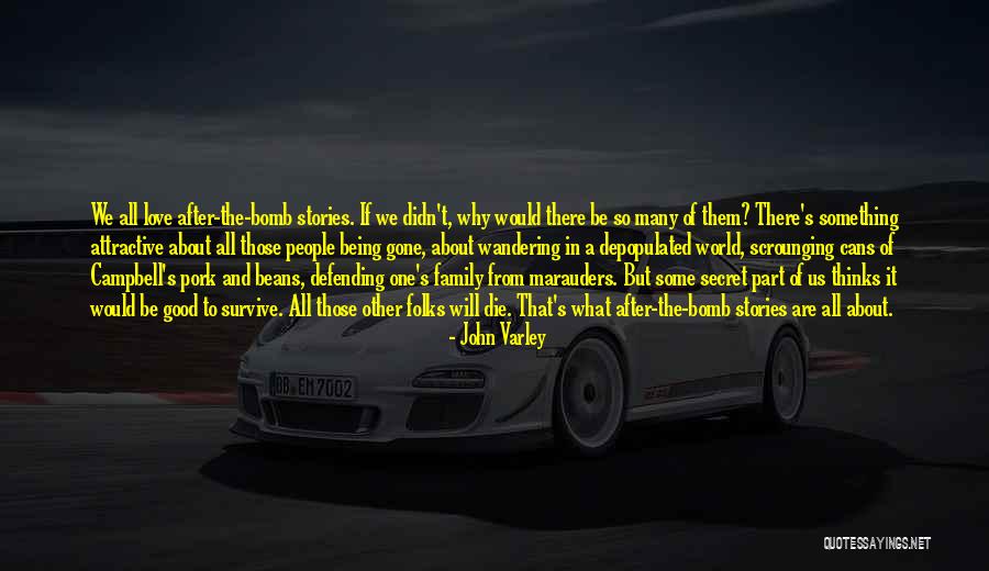 John Varley Quotes 1184792