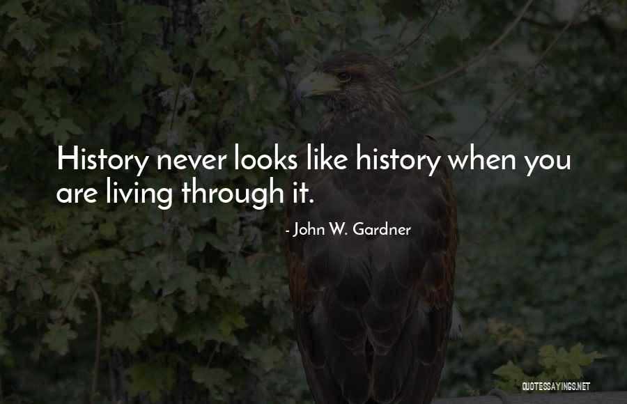 John W. Gardner Quotes 1696718