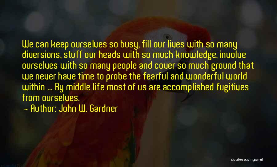 John W. Gardner Quotes 2162809