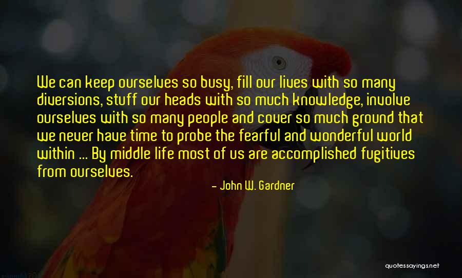 John W. Gardner Quotes 2162809