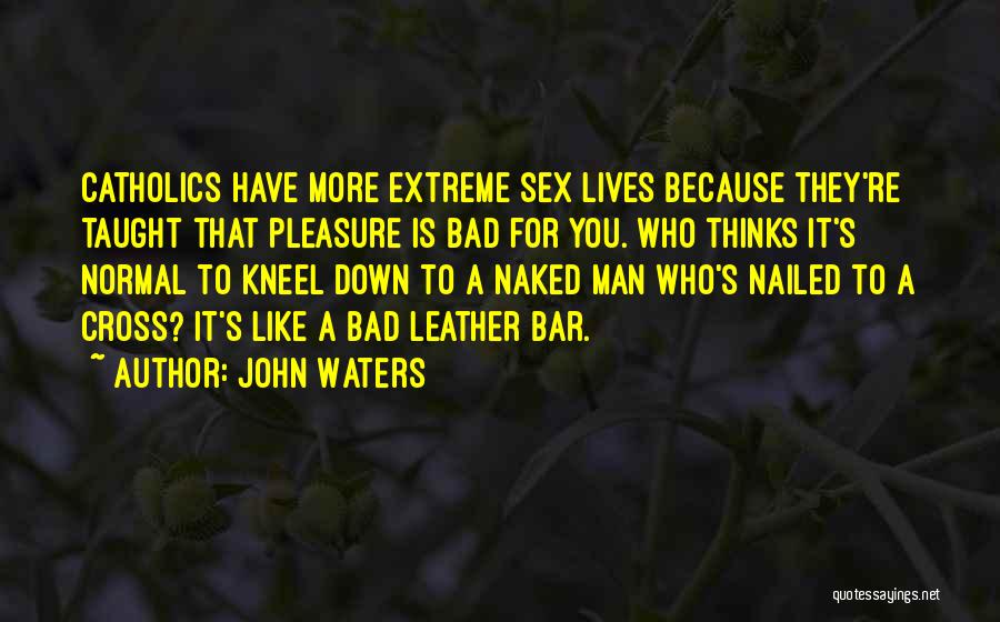 John Waters Quotes 608225
