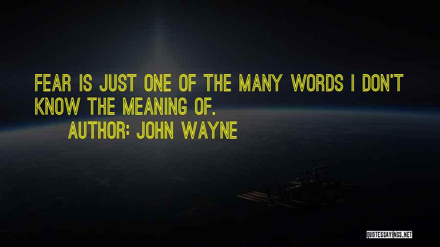 John Wayne Quotes 189065