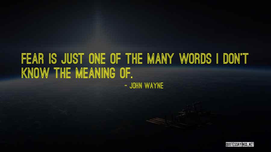 John Wayne Quotes 189065