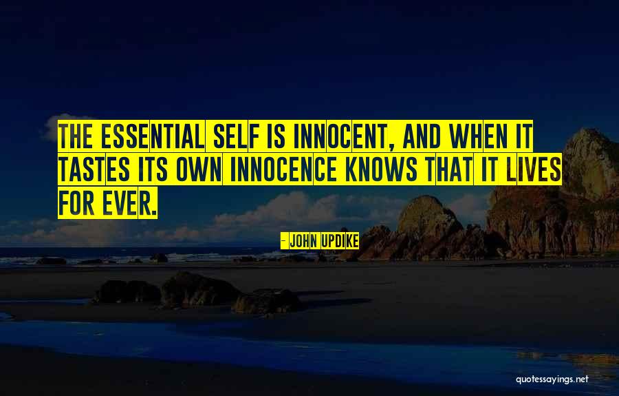 John Wesley Pentecost Quotes By John Updike John Wesley Pentecost Quotes By John Updike