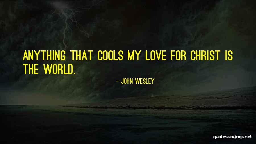 John Wesley Quotes 1586024