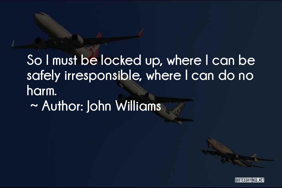 John Williams Quotes 1517937