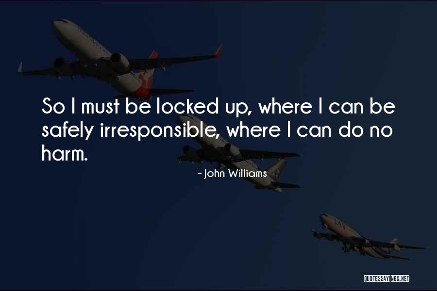 John Williams Quotes 1517937