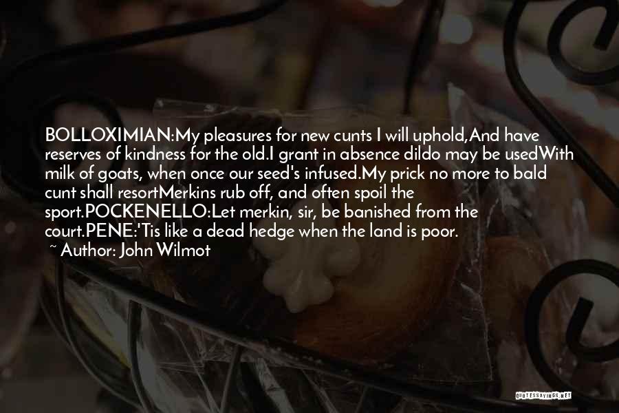 John Wilmot Quotes 1286882