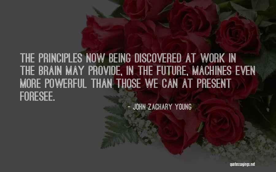 John Zachary Young Quotes 2205402 John Zachary Young Quotes 2205402
