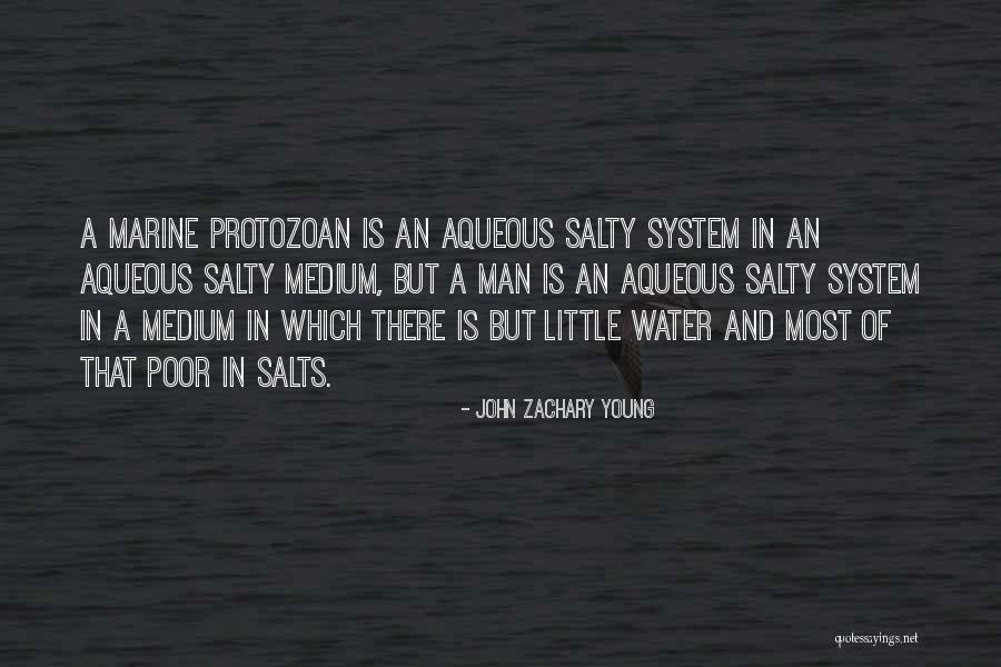 John Zachary Young Quotes 719470 John Zachary Young Quotes 719470