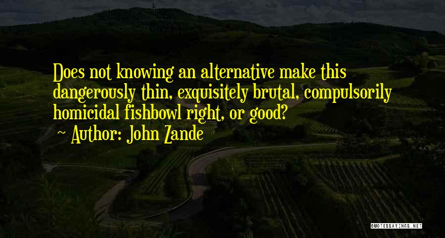 John Zande Quotes 1960181