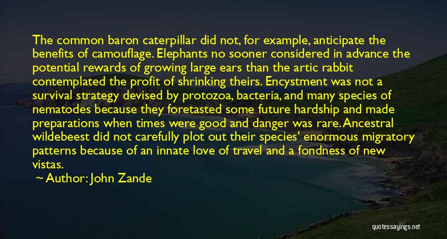 John Zande Quotes 2205093