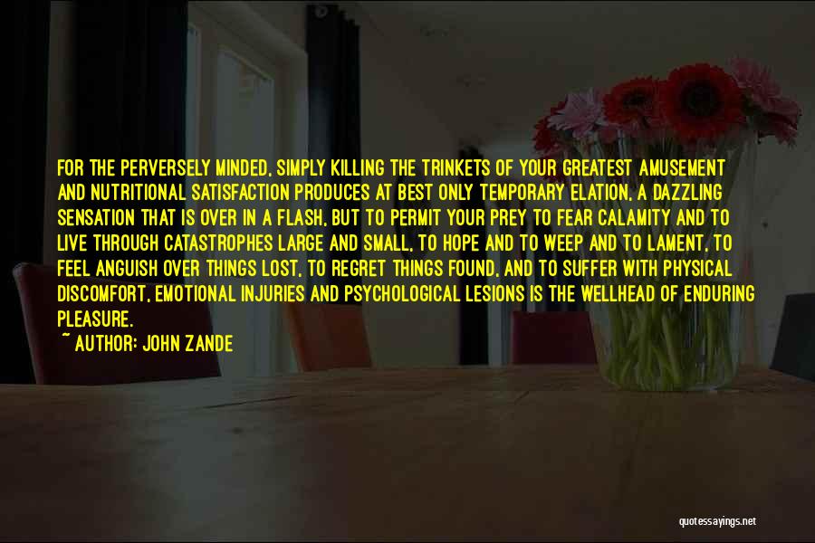 John Zande Quotes 346895