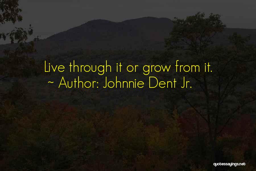 Johnnie Dent Jr. Quotes 335023