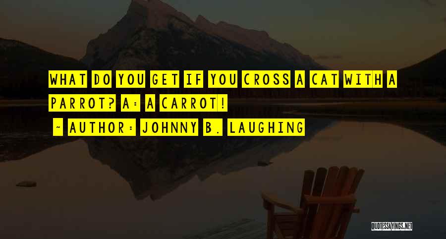 Johnny B. Laughing Quotes 818183